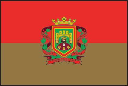 Bandera de Burgos
