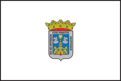 Bandera de Lugo