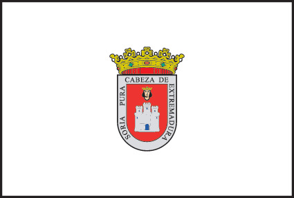 Bandera de Soria