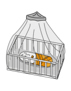 Mosquiteras decorativas